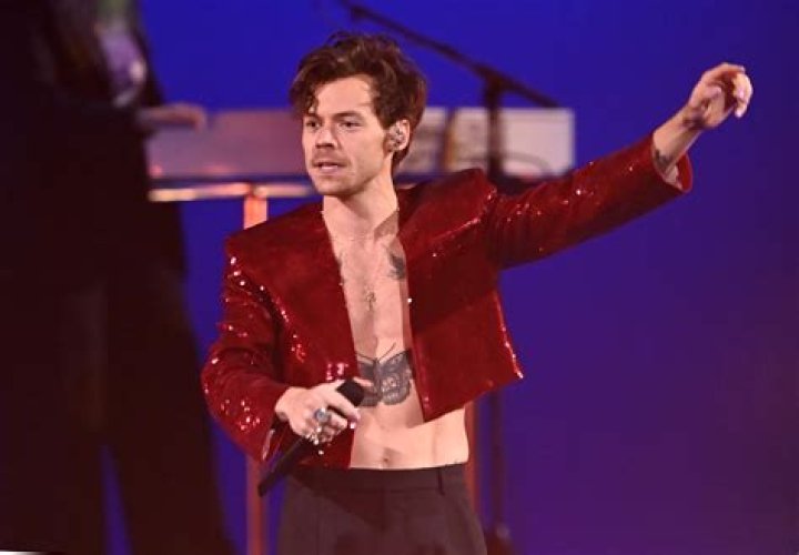 harry styles fan faints