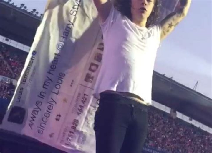 Harry Styles Holds ‘Larry’ Tweet Flag To Show His Love For Him – Hollywood Life