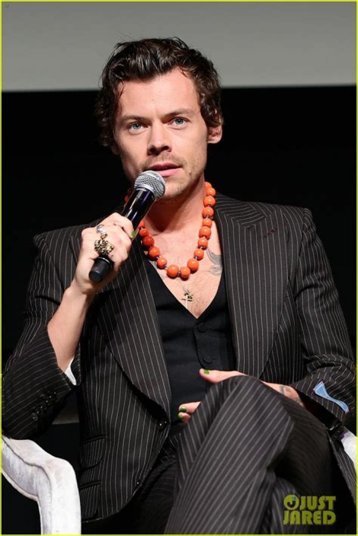 Harry Styles Plays A Closeted Gay Man – Hollywood Life