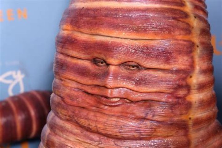 Heidi Klum&rsquo;s Worm Stare