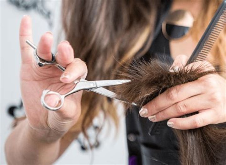 HIghest-Rated Hairdresser’s Scissors – Hollywood Life Reviews – Hollywood Life