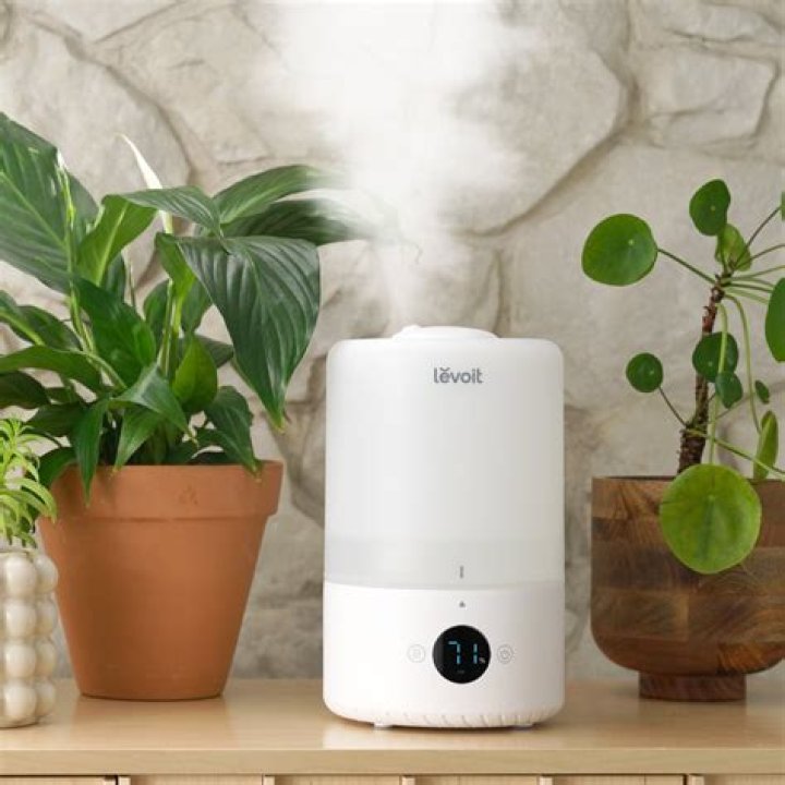 humidifier