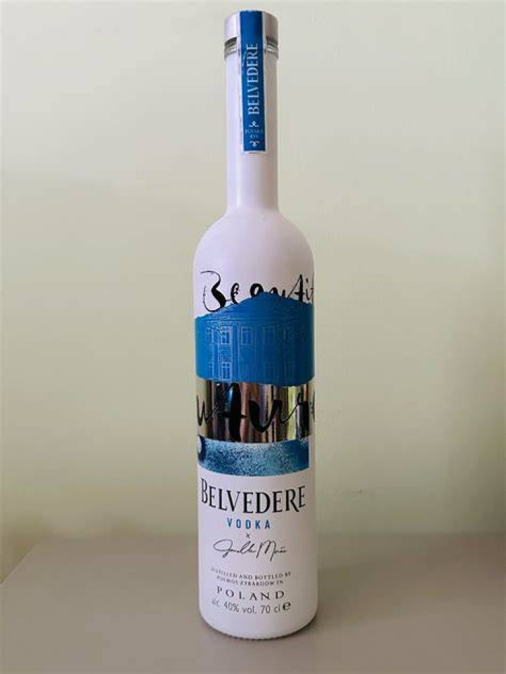 Janelle Mon&aacute;e & Belvedere Vodka Team A Beautiful Future