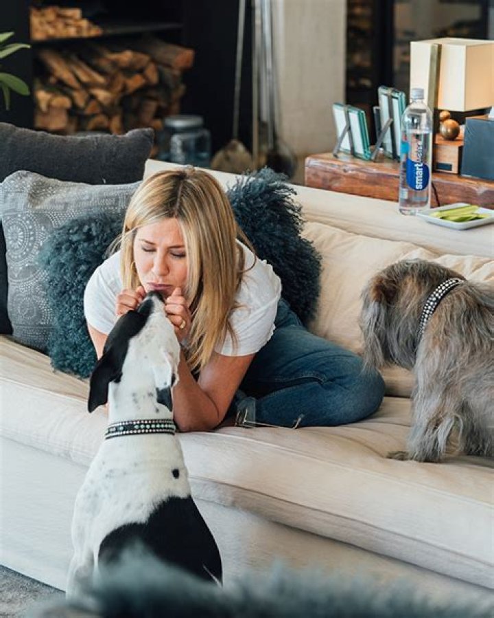 Jennifer Aniston’s Dogs Won’t Stop ‘Smothering’ Her During A Workout At Home — Watch