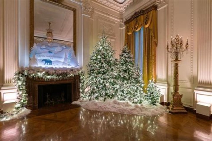 Jill Biden’s White House Christmas Decorations 2022: Photos – Hollywood Life