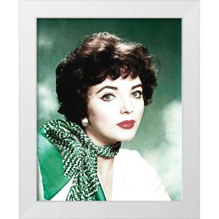 Joan Collins Hollywood Photo Archive