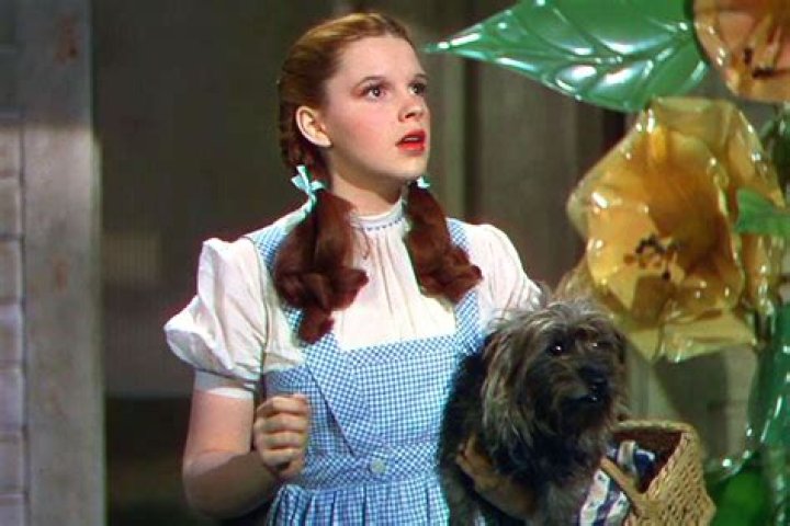 Judy Garland & Toto