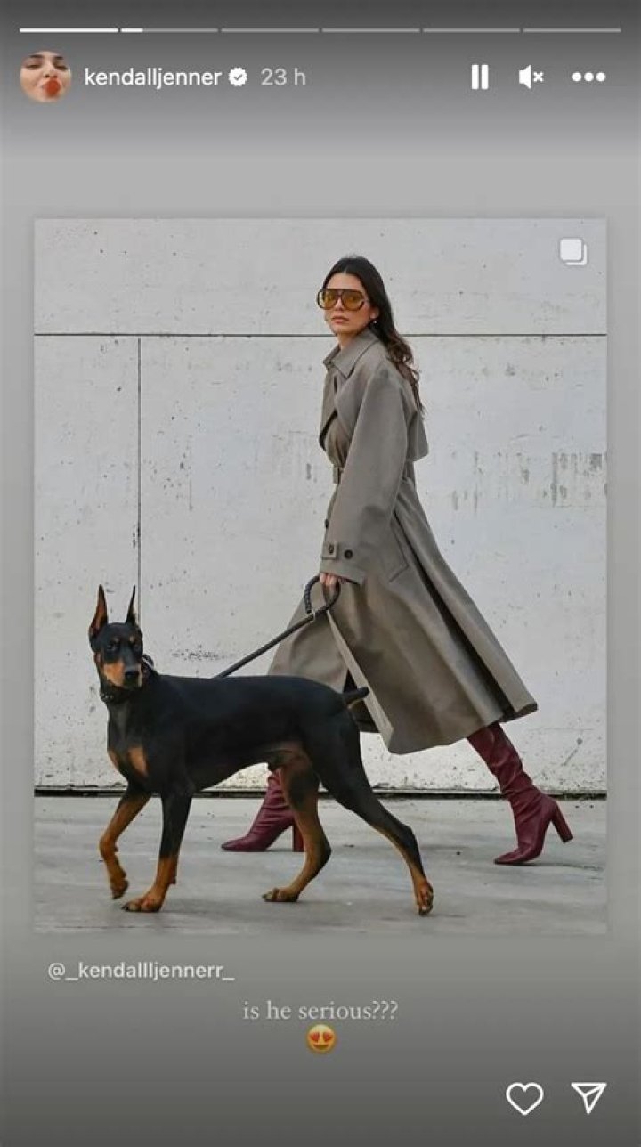 Kendall Jenner walking her dog
