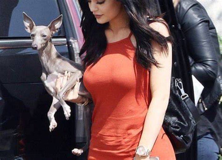 Kylie Jenner Dog Neglect