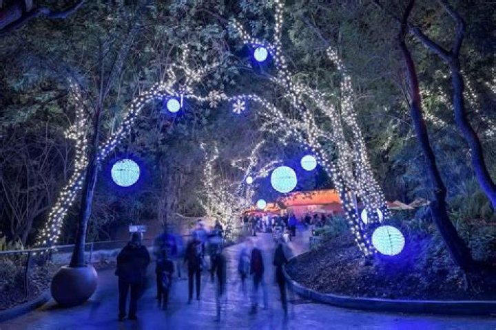 L.A Zoo. Lights