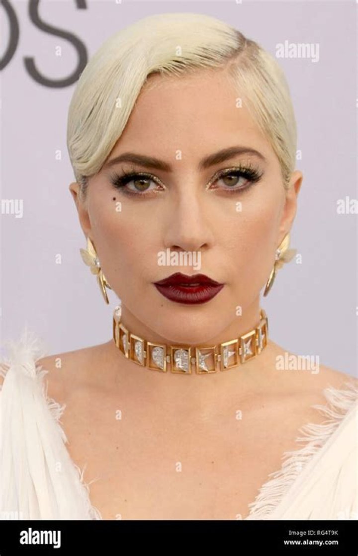 Lady Gaga 25th Annual Screen Actors Guild Awards, Arrivals, Los Angeles, USA - 27 Jan 2019 Wearing Dior Same Outfit as catwalk model *10068365bh