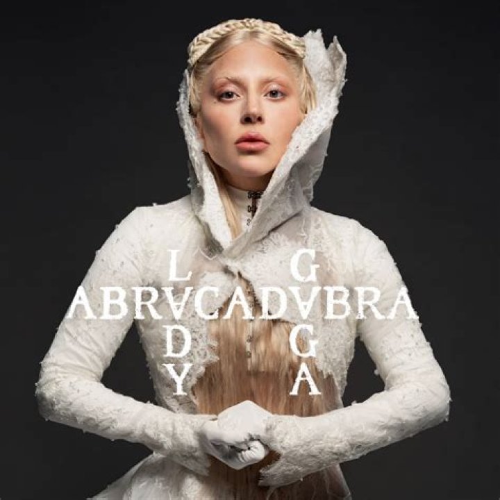 Lady Gaga In A Scart