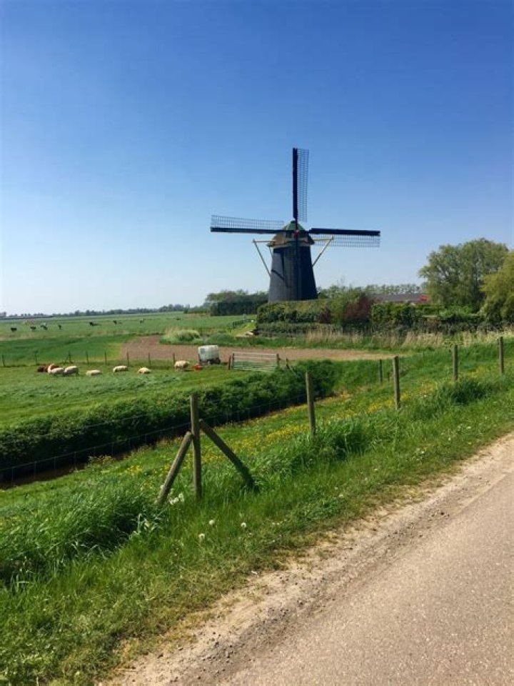 Maasdam, Netherlands