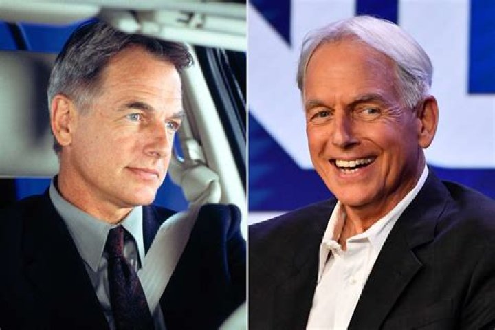 Mark Harmon at TCA