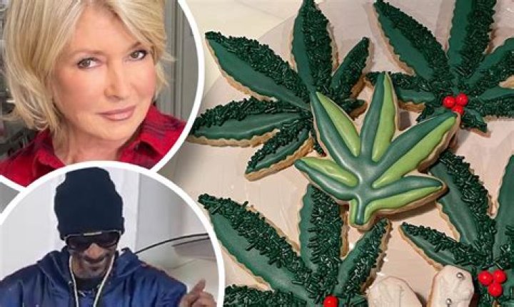 Martha Stewart Decorates Weed-Inspired Christmas Cookies With Snoop Dogg — See Pic
