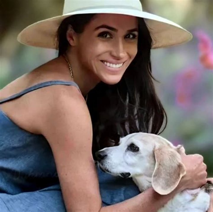 Meghan Duchess of Sussex in Asni TownPrince Harry and Meghan Duchess of Sussex visit to Morocco - 24 Feb 2019The Duke and Duchess will visit the local Secondary School meeting students and teachers. TRH will also visit the school&rsquo;s sports ground to watch the children playing football.
