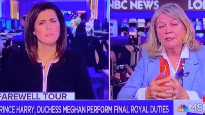 Meghan Markle Harshly Called ‘Five Clicks Up From Trailer Trash’ By British Journalist On MSNBC
