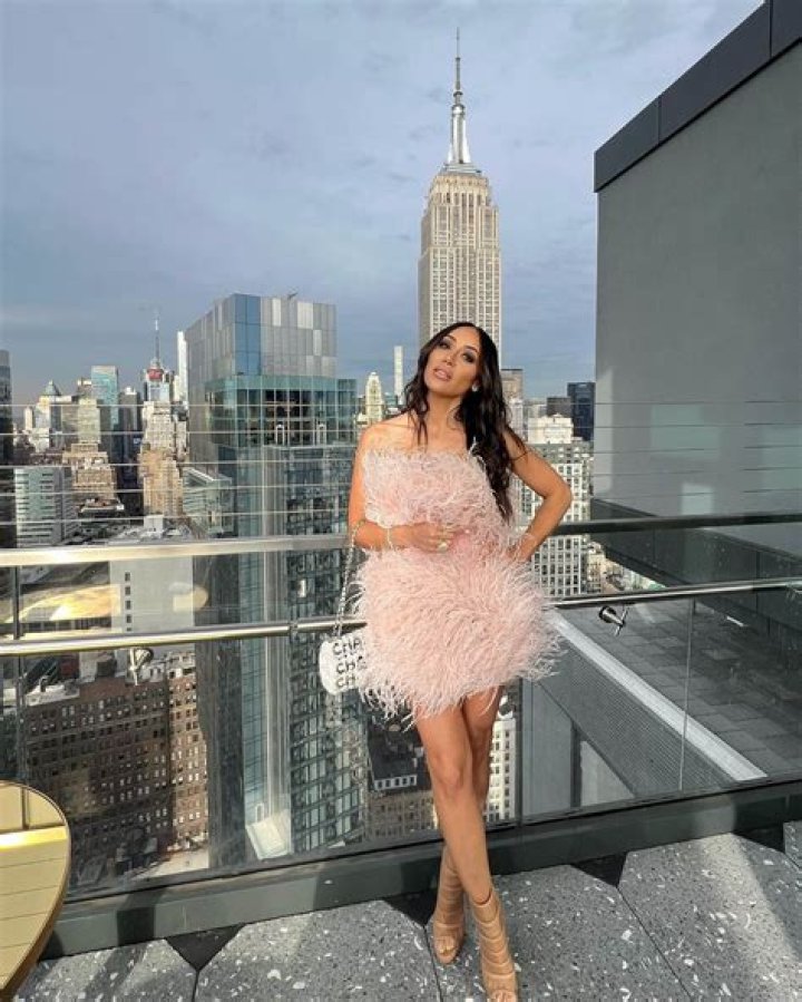 Melissa Gorga In A Pink Gown