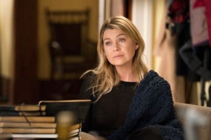 Meredith Wins Harper Avery Award In 300th Episode — Recap – Hollywood Life