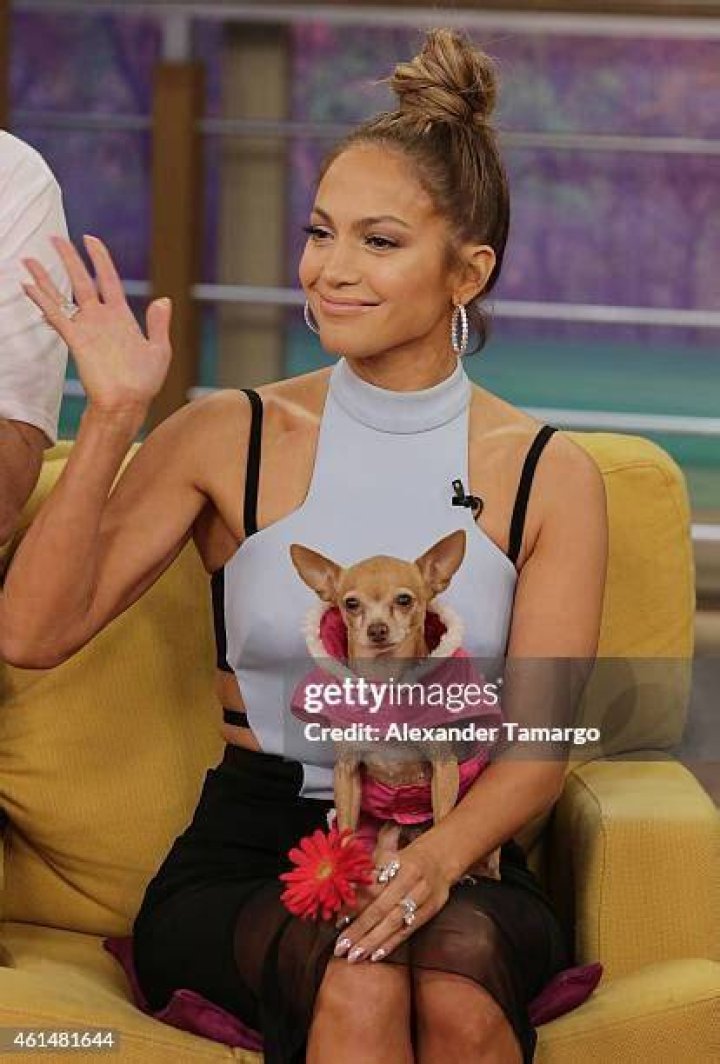 Miami, FL - Jennifer Lopez pictured at the Jennifer Lopez 50th Birthday Celebration at the Gloria Estefan Estate on Star Island in Miami. Pictured: Lorena Cartegena , Ashanti, Fat Joe, Jennifer Lopez, Alex Rodrigiuez, Nicole Tuck and DJ Khaled BACKGRID USA 25 JULY 2019 BYLINE MUST READ: MediaPunch / BACKGRID USA: +1 310 798 9111 / UK: +44 208 344 2007 / *UK Clients - Pictures Containing Children Please Pixelate Face Prior To Publication*