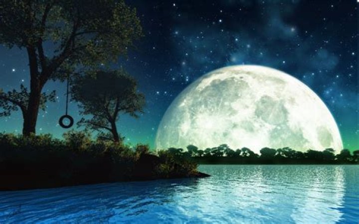 moonlight