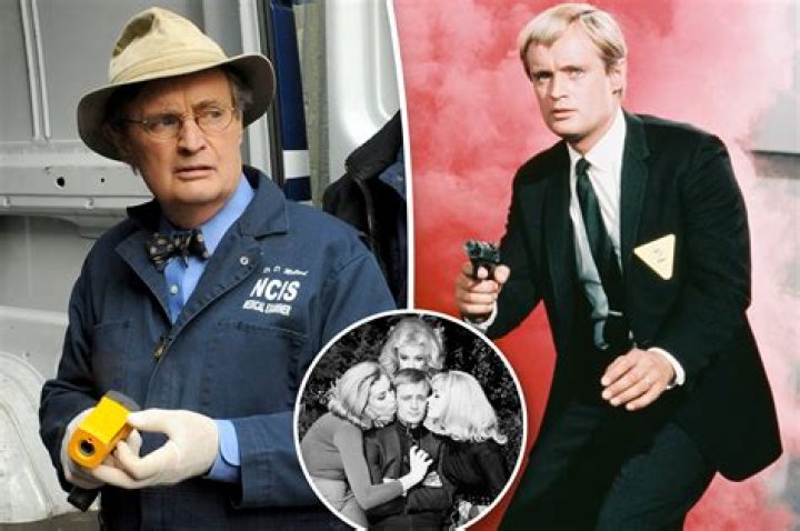 ‘NCIS’ Stars React to David McCallum’s Death – Hollywood Life