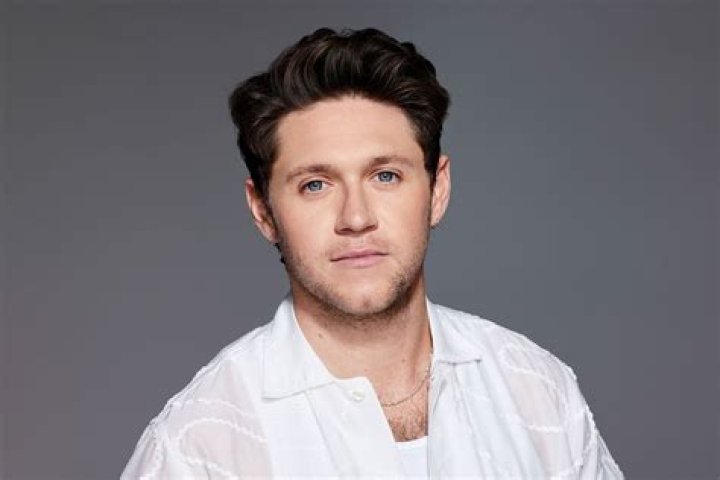 Niall Horan in the &lsquo;Too Much to Ask&rsquo;