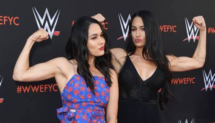 nikki and brie bella