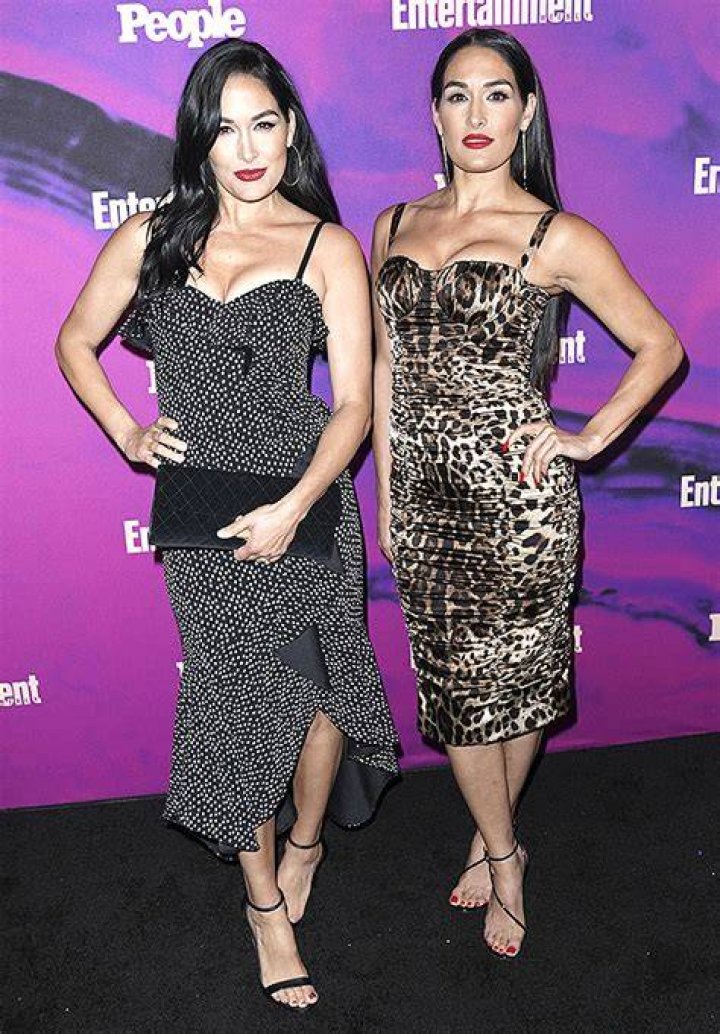 Nikki & Brie Bella’s Hottest Photos On The Red Carpet – Hollywood Life