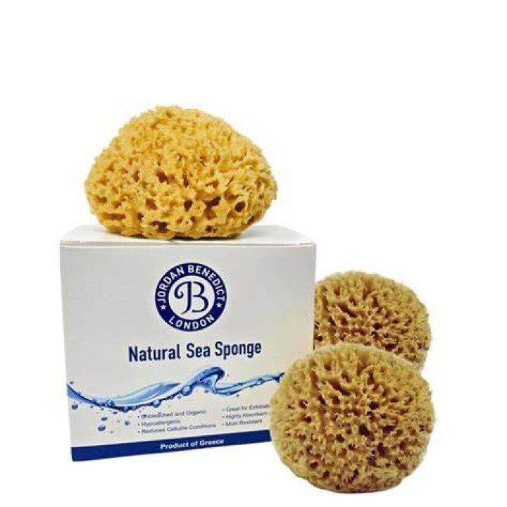 Ocean Crush Sponge Set