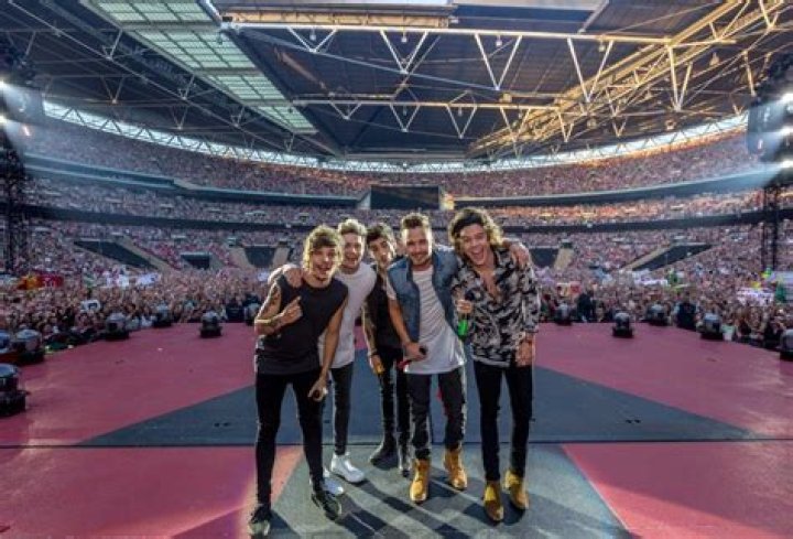 One Direction In 2014