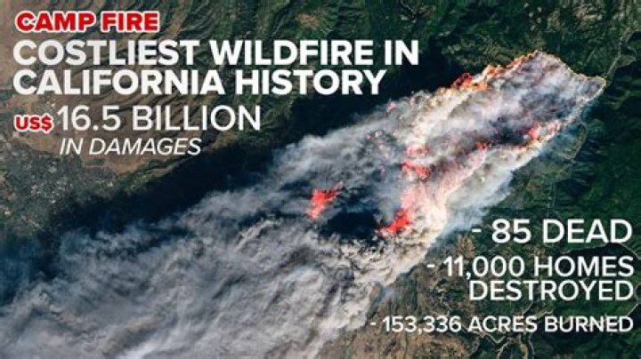 Paris Hilton Cuts Maui Trip Short To Offer Aid At Local Shelters Amid Deadly Wildfires