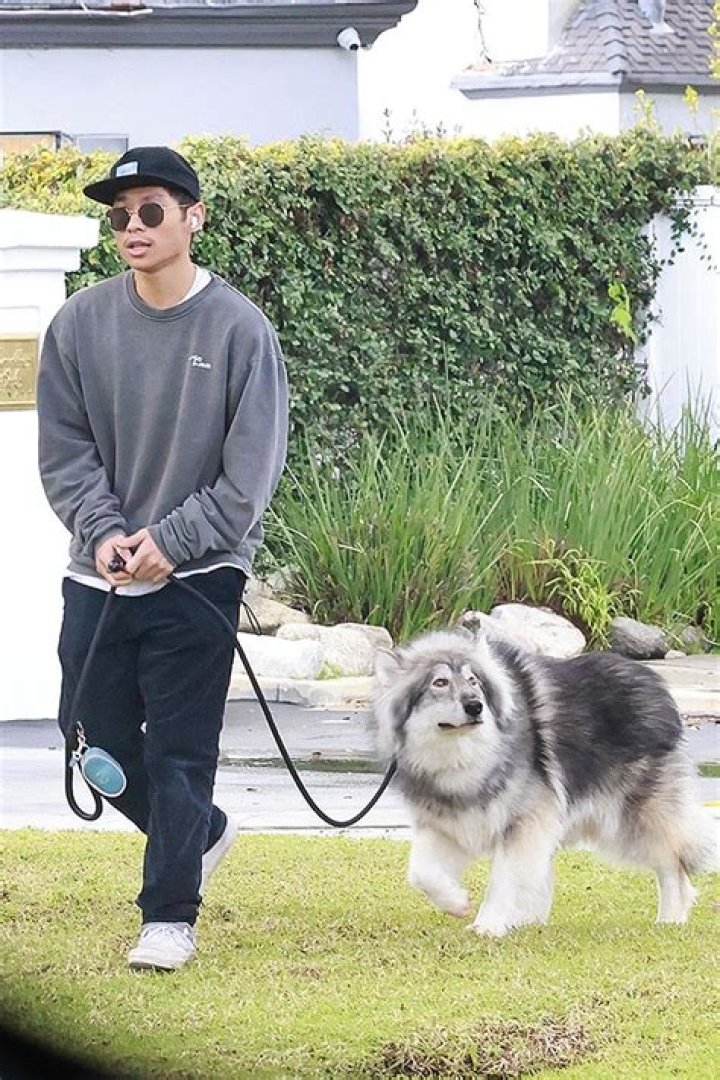 Pax Jolie-Pitt Walks His Dog