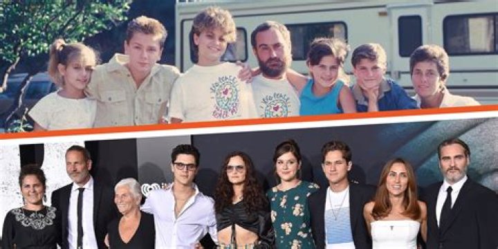 Phoenix family
