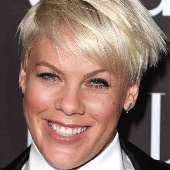 Pink’s Hairstyles — How To Get Her Rockin’ Looks – Hollywood Life