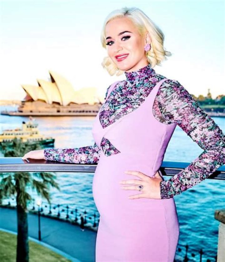 Pregnant Katy Perry Rubs Baby Bump In Purple One-Piece On Beach Date With Orlando Bloom