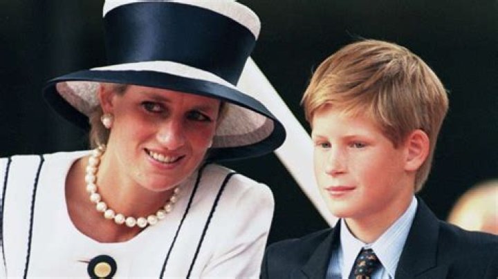 princess diana and harry