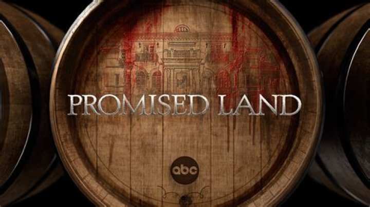 PROMISED LAND - ABC's "Promised Land" stars Augusto Aguilera as Mateo Flores, Christina Ochoa as Veronica Sandoval, Bellamy Young as Margaret Honeycroft, Tonatiuh as Antonio Sandoval, John Ortiz as Joe Sandoval, Cecilia Su&aacute;rez as Leticia Sandoval, Mariel Molino as Carmen Sandoval. (ABC/Nino Mu&ntilde;oz)