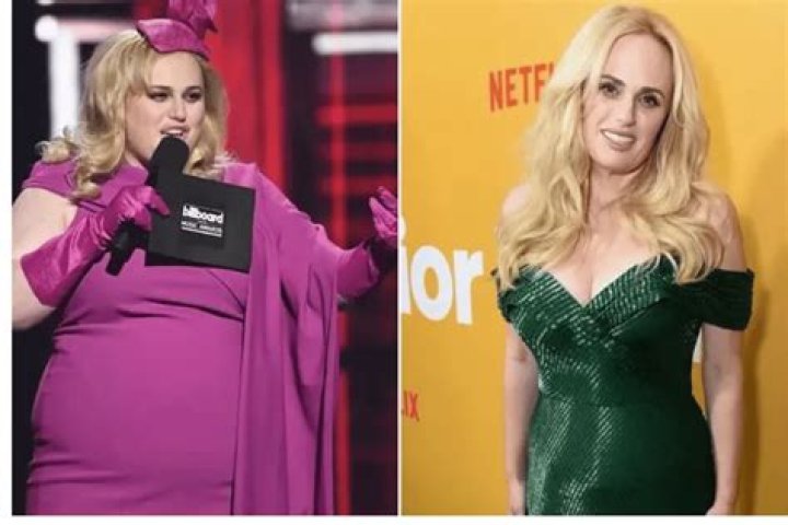 Rebel Wilson on the red carpet