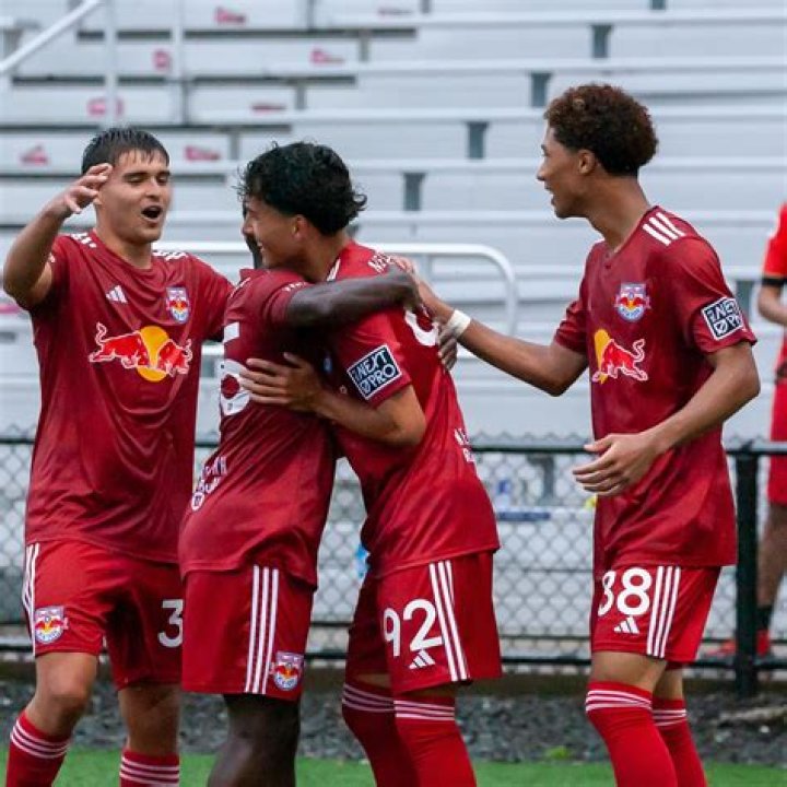 red-bulls2