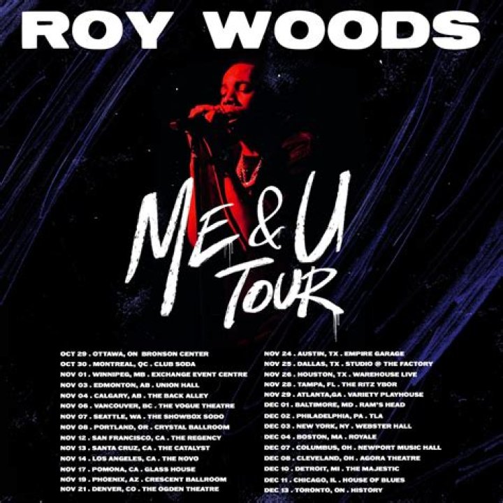 Roy Woods At The Summer Sixteen Tour