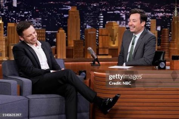 Sebastian Stan During An Interview