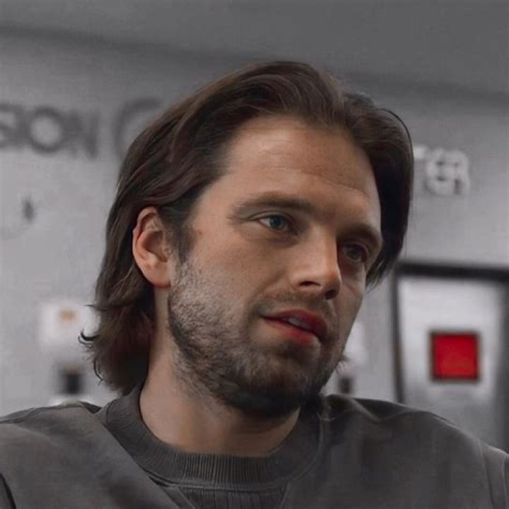 Sebastian Stan Loves A Good Indie Role