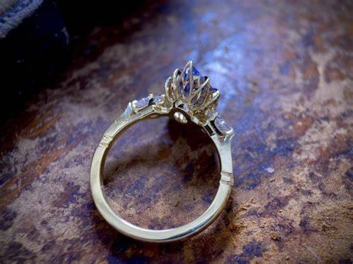 See Pics Of Ring From Fedor Andreev – Hollywood Life