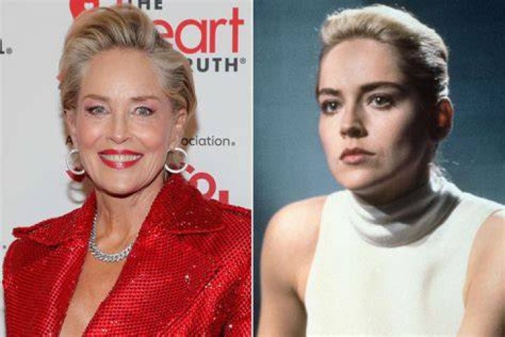 Sharon Stone at &lsquo;OSS 117: From Africa with Love&rsquo; premiere