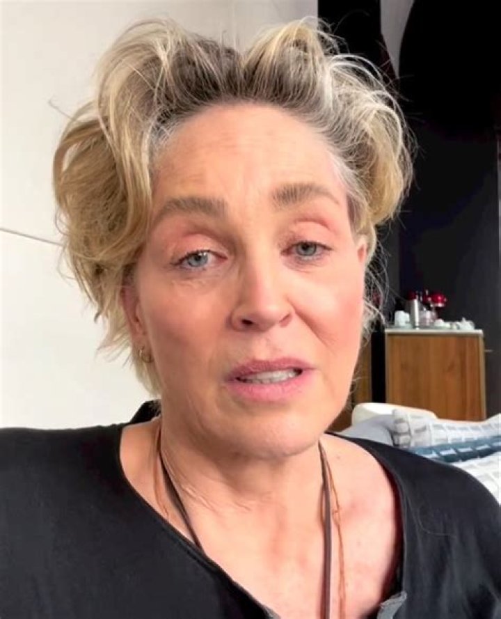 Sharon Stone Rocks a Bikini Before Her 60th