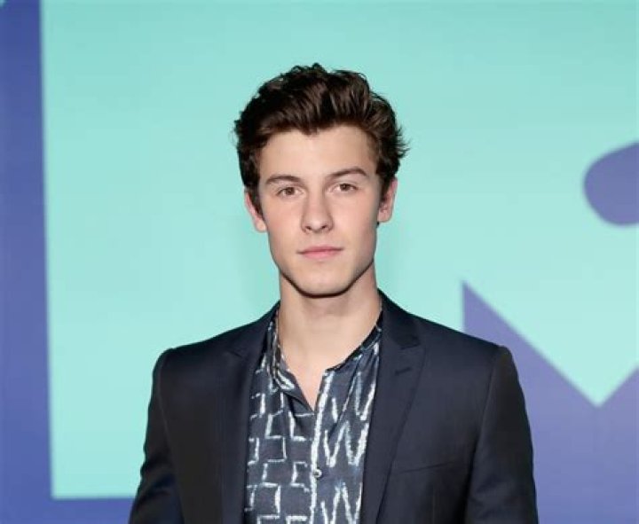 Shawn Mendes at the MTV VMAs