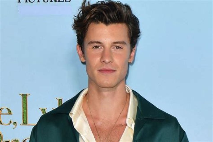 Shawn Mendes Showers At Start Of ‘In Wonder’ Trailer For Netflix Doc – Hollywood Life