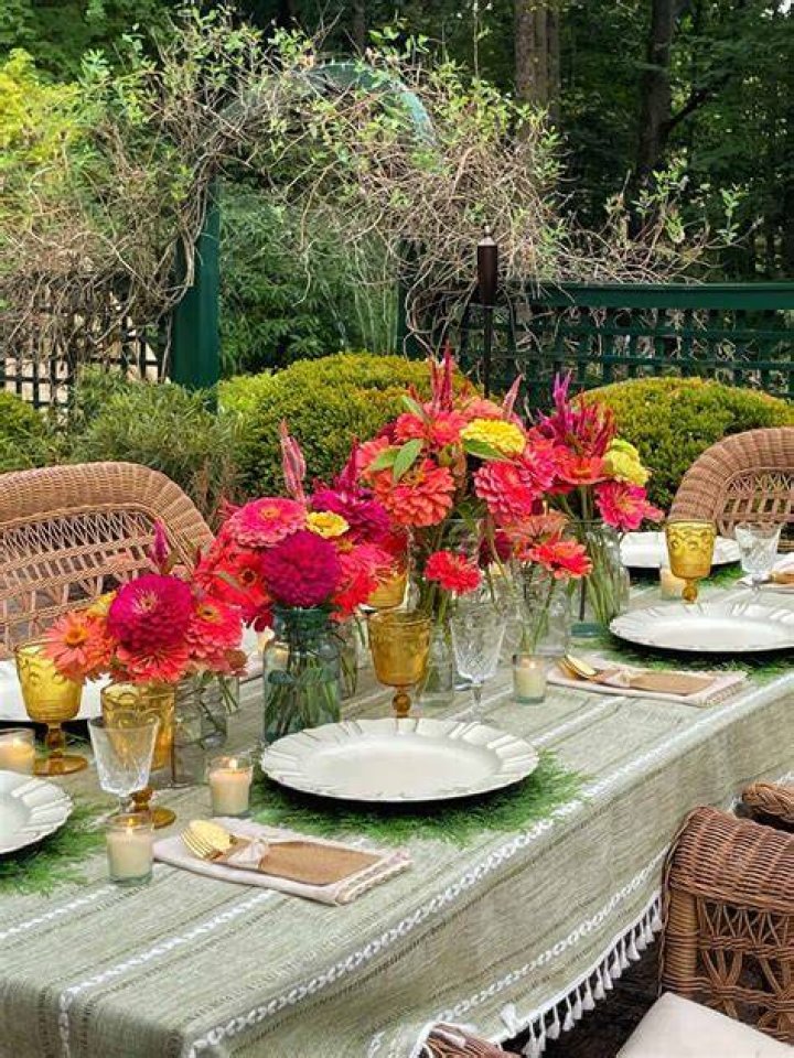 Solutions Project Garden Party