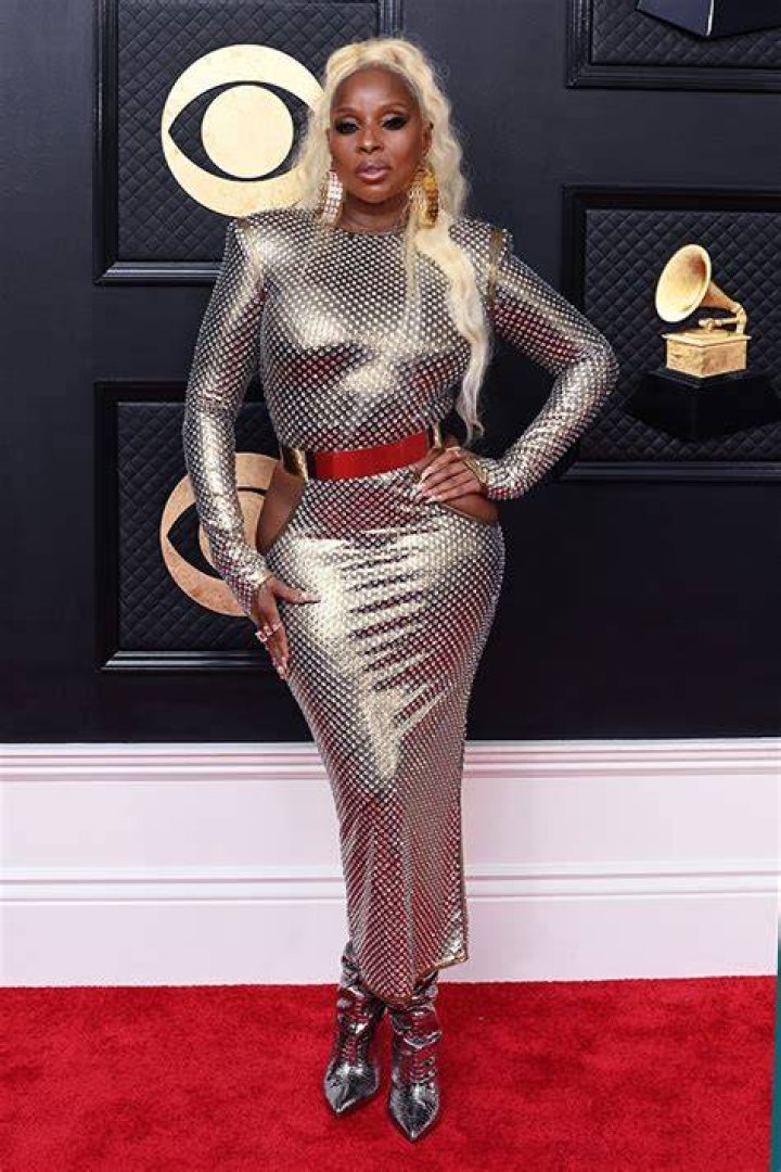 Sparkly Silver Dress – Hollywood Life